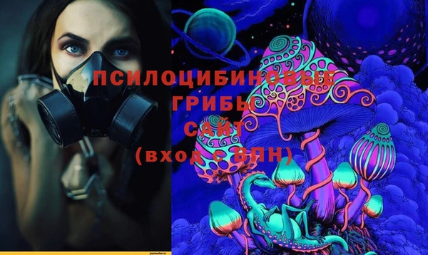 индика Кодинск