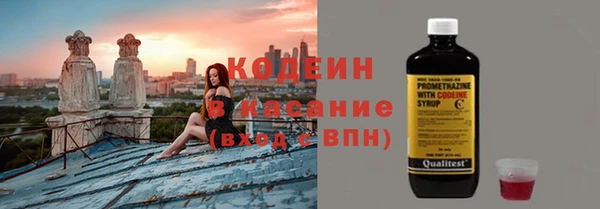 индика Кодинск